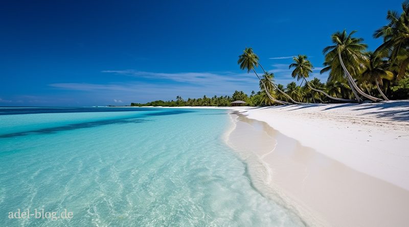 Entdecke die Verlockung exklusiver Luxusstrände weltweit Strand Malediven Indischer Ozean